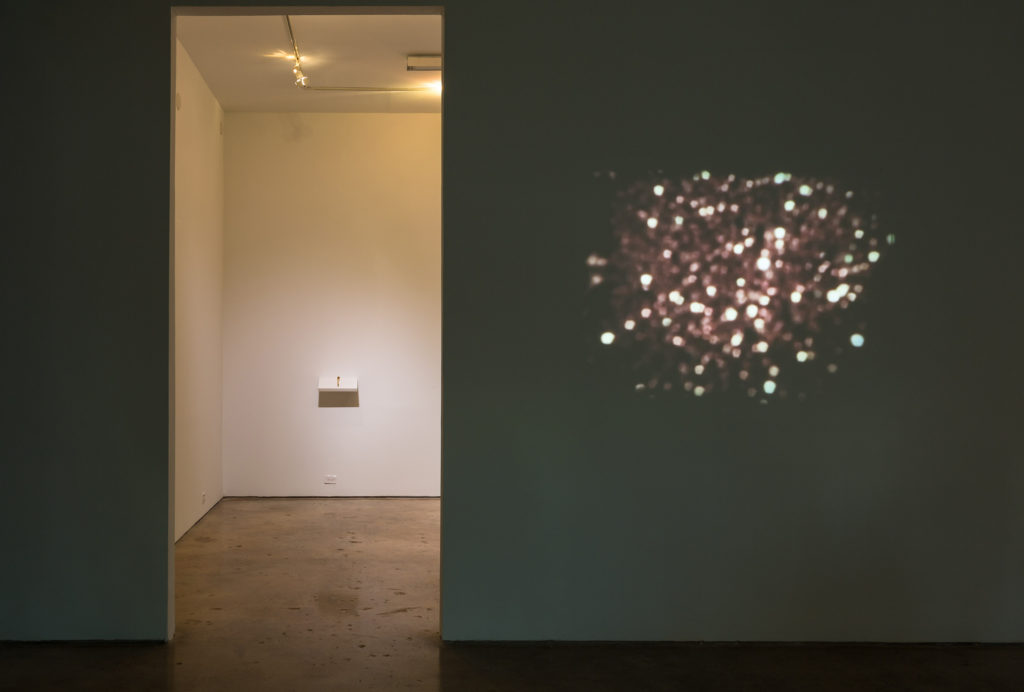 Cara Despain, 2014