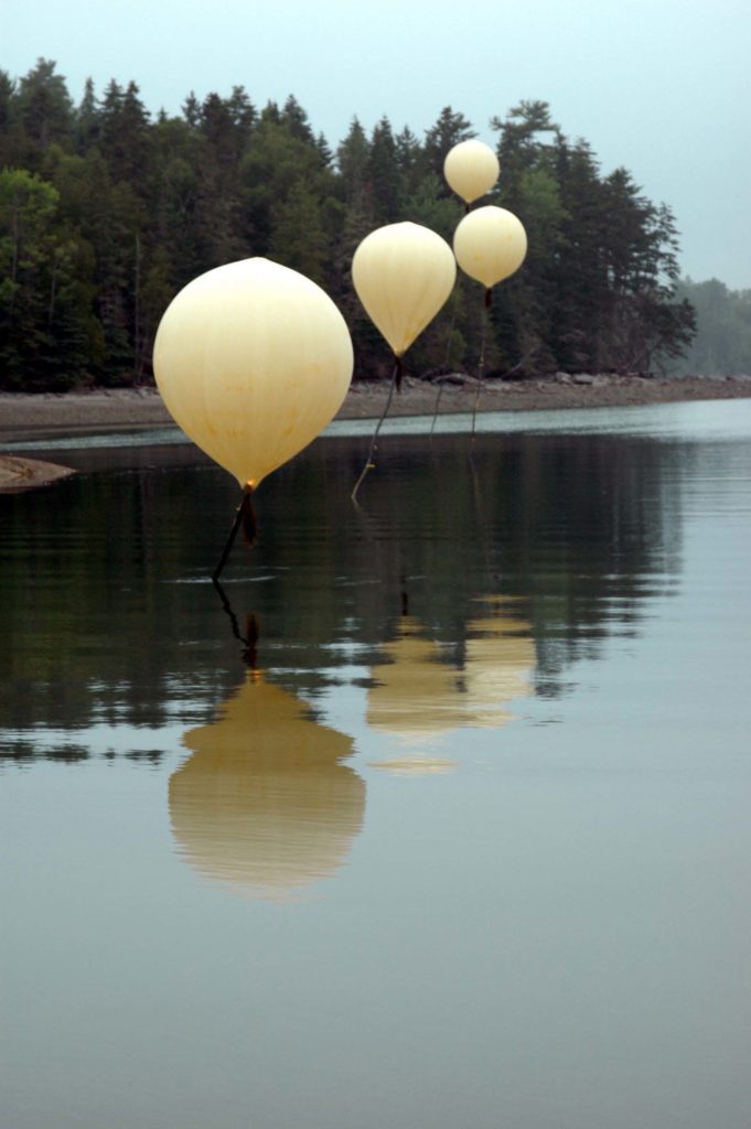 Robert Chambers, 8 Bubbles, 2005