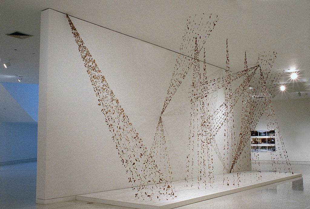 Installation view of Karen Rifas' leaf and cord installation at the 2005 South Florida Cultural Consortium exhibition at NSU Art Museum.