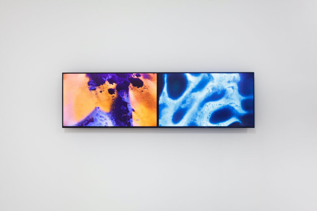 Felecia Chizuko Carlisle, Patterns of Interference (installation view), 2021