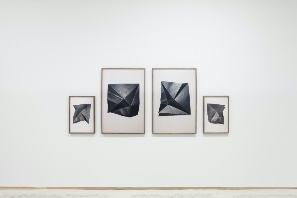 Felecia Chizuko Carlisle, Patterns of Interference (installation view), 2021