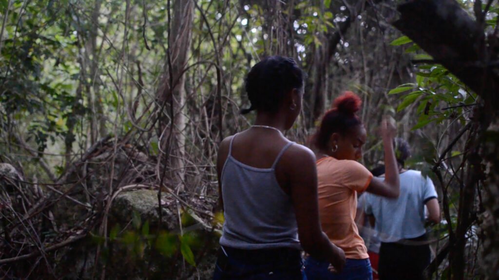 Minia Biabiany Learning From the White Birds